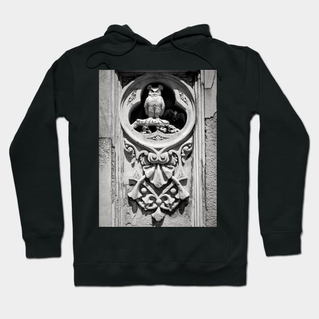 The Sentinel Hoodie by The Fox's Herring